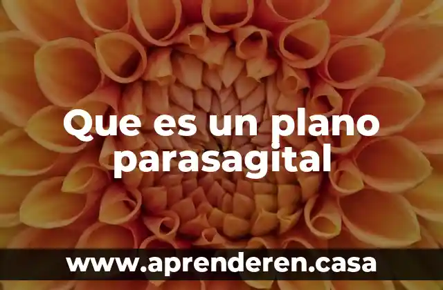 Que es occipucio plano 3 Que es un plano parasagital