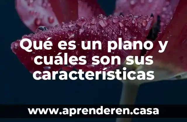 Qué es un plano y cuáles son sus características