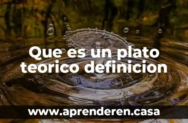 Que es un plato teorico definicion