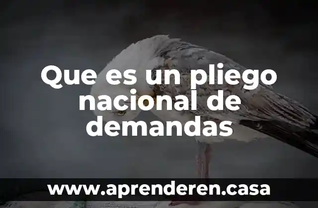 Que es la compensacion nacional unica 2020 4 Que es un pliego nacional de demandas