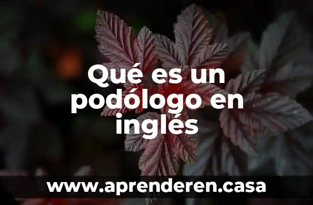 Qué es un podólogo en inglés