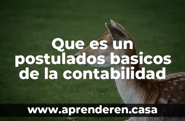 Que es un postulados basicos de la contabilidad
