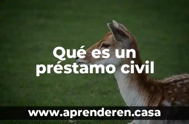 Qué es una sociedad responsabilidad civil 3 Qué es un préstamo civil
