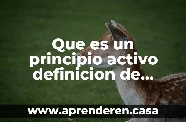Que es un principio activo definicion de quimica