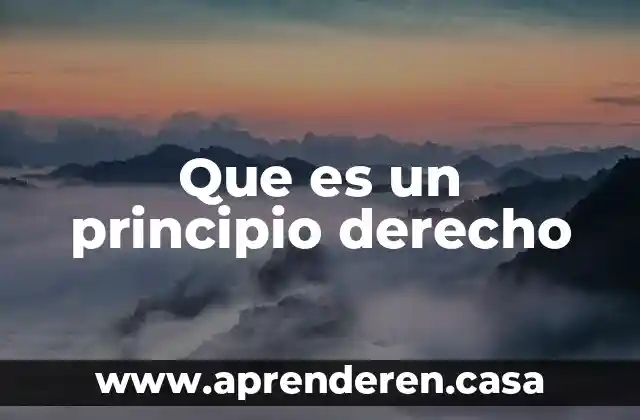 Que es un principio derecho
