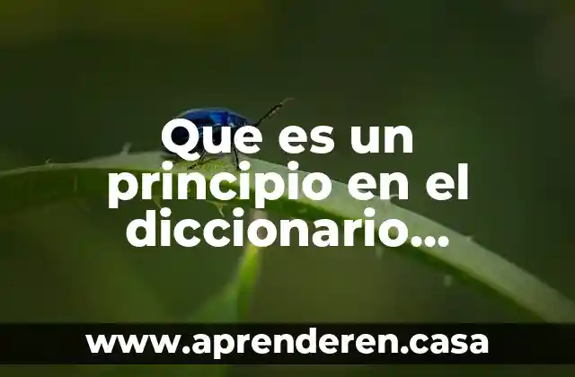 Que es un principio en el diccionario pedagógico