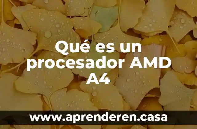 Que es laadmon seguridad fg 60e wf ms ips 5 Qué es un procesador AMD A4
