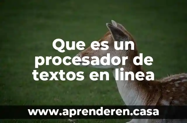 Que es un procesador de textos en linea