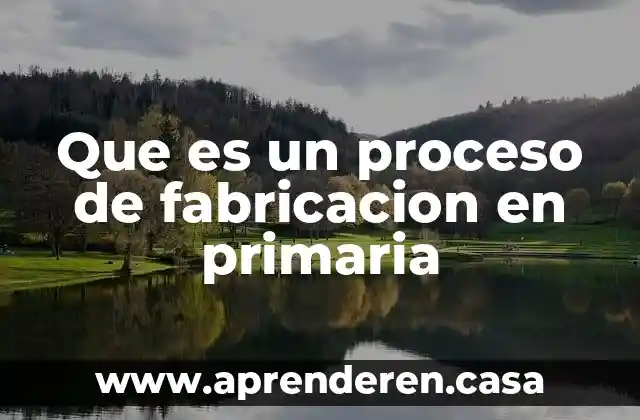 Que es un proceso de fabricacion en primaria