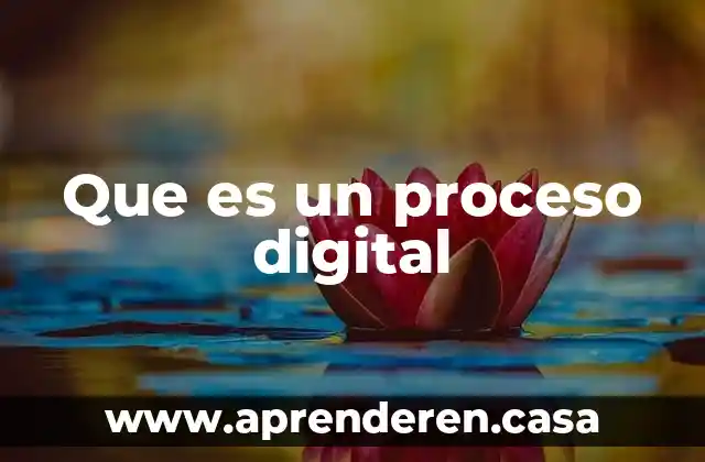 Que es el proceso racional de la toma de decisiones 4 Que es un proceso digital