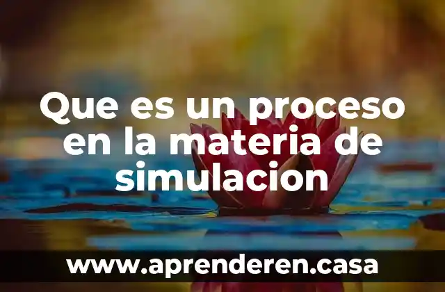 Que es un proceso en la materia de simulacion