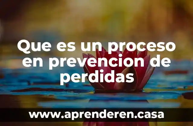Que es un proceso en prevencion de perdidas