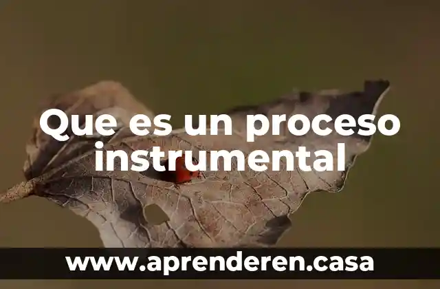 Que es un proceso instrumental