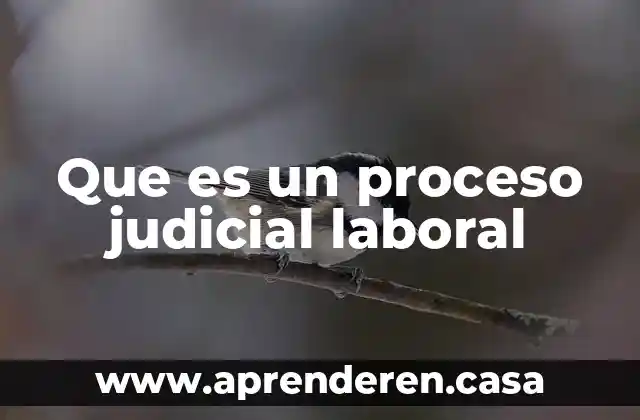Que es un proceso judicial laboral