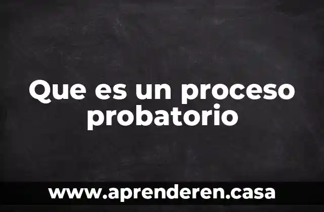Que es un proceso ingenieria de procesos 7 Que es un proceso probatorio