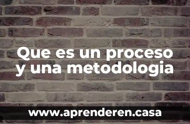 Que es un proceso y una metodologia