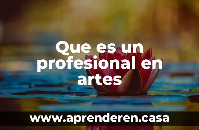 Que es desencuadre en artes visuales 3 Que es un profesional en artes