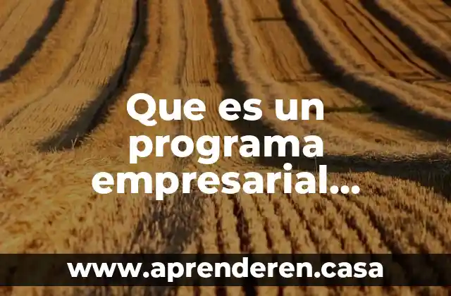 Que es un programa empresarial definicion