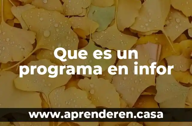 Que es el programa cyberlink power2go 3 Que es un programa en infor