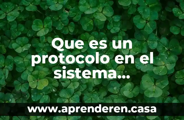 Que es un protocolo en el sistema penitenciario