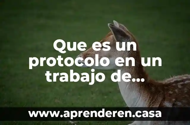 Que es la estructura del protocolo de investigacion 5 Que es un protocolo en un trabajo de investigacion