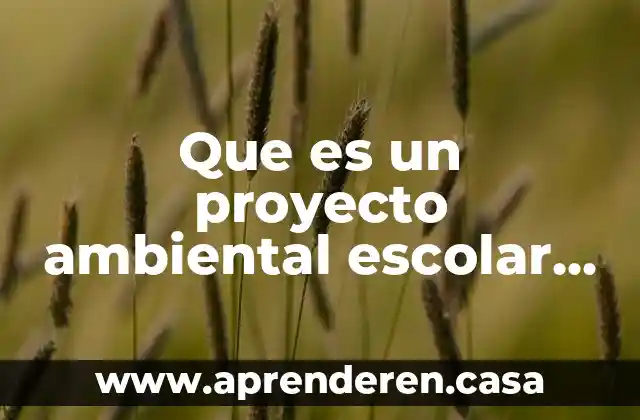 Que es un proyecto educativo redalyc 4 Que es un proyecto ambiental escolar prae