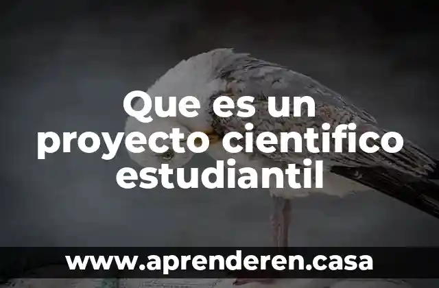 Que es bpm en medicina 7 Que es un proyecto cientifico estudiantil