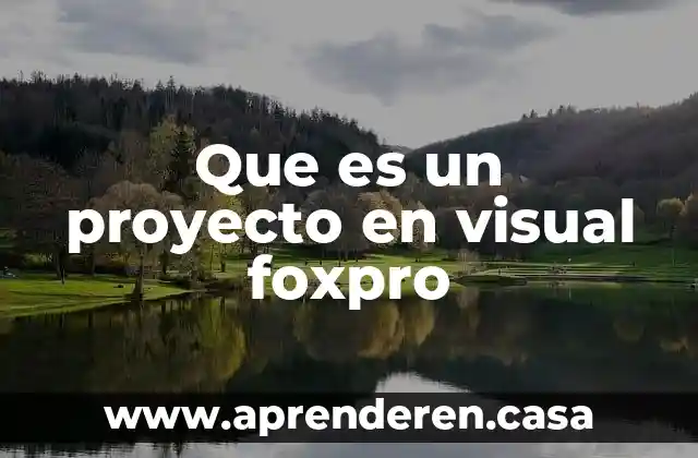 Que es un proyecto en visual foxpro