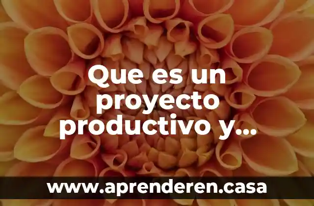 Que es un proyecto productivo y cuales son las normas