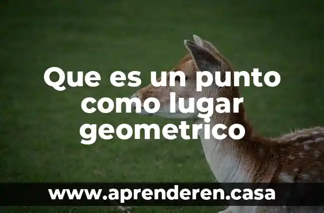 Qué es lugar geométrico sistema rectangular de cadenas 3 Que es un punto como lugar geometrico