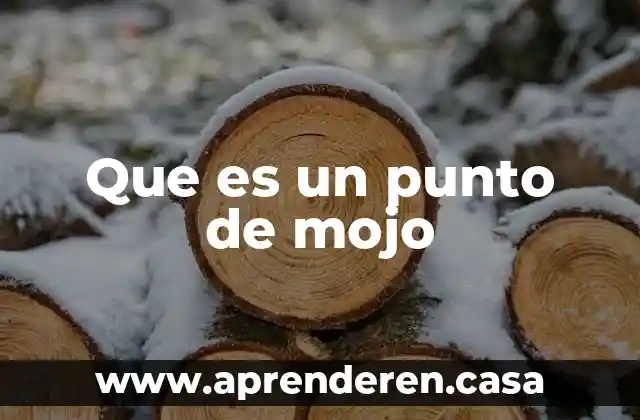 Qué es m punto en termodinámica 4 Que es un punto de mojo