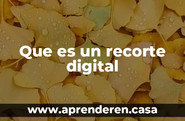Que es un recorte digital