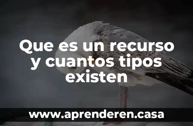 Que es un recurso y cuantos tipos existen