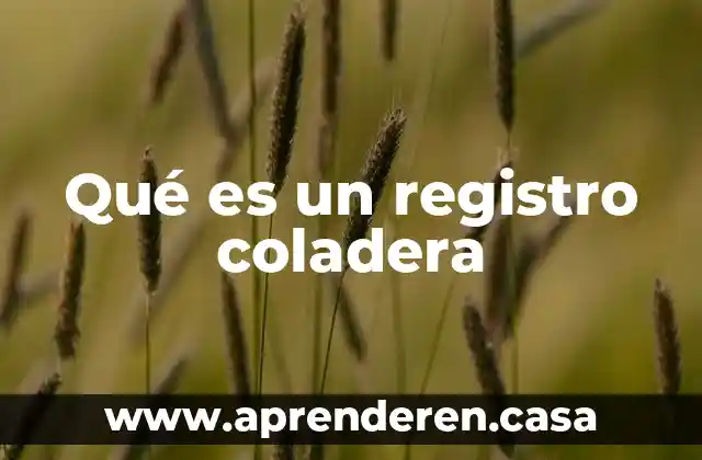 Qué es un registro coladera