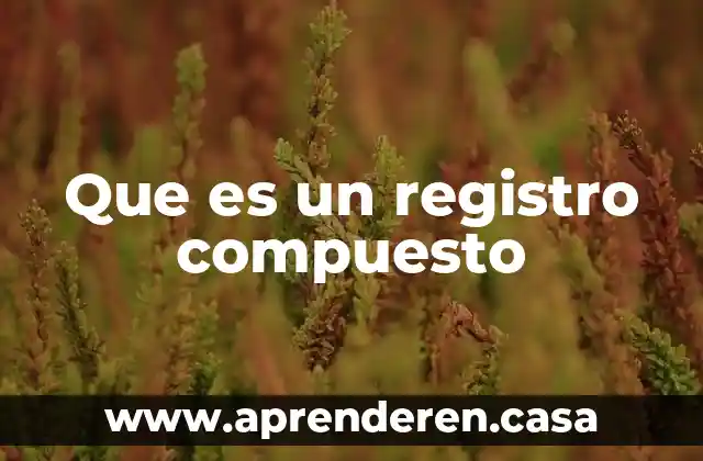Que es un registro compuesto