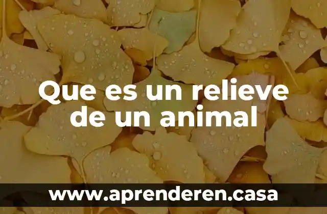 Qué es un animal carnívoro ejemplos 8 Que es un relieve de un animal