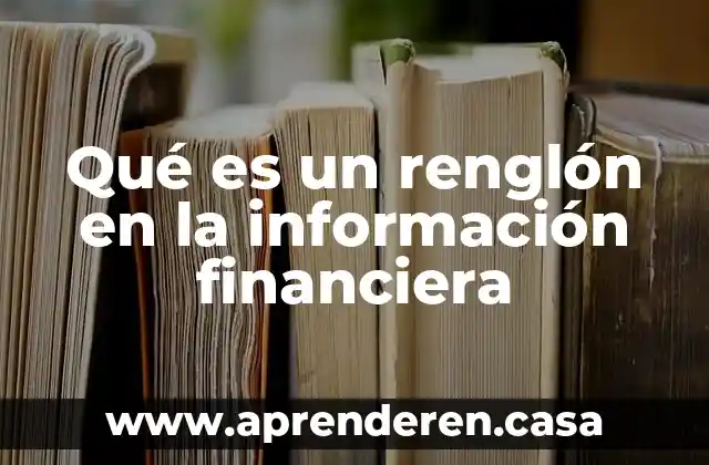 Que es la actividad financiera de una empresa 3 Qué es un renglón en la información financiera