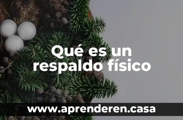 Análisis físico que es 5 Qué es un respaldo físico