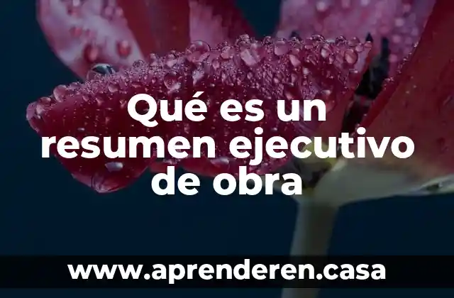 Qué es un resumen ejecutivo de obra