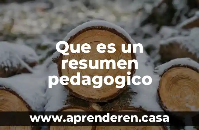 Que es un resumen pedagogico