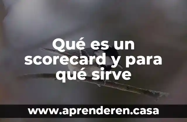 Femafee que es y para que sirve 3 Qué es un scorecard y para qué sirve