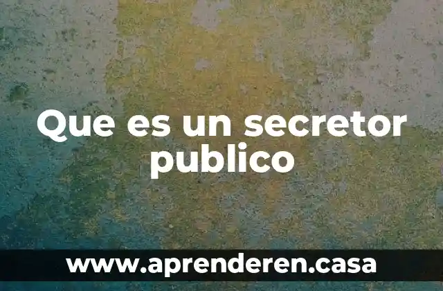 Que es un secretor publico