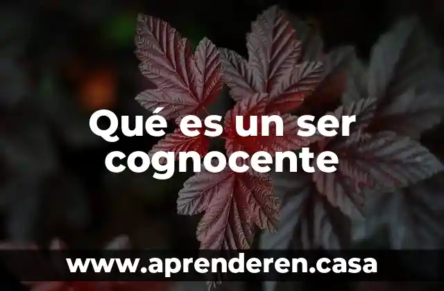 Qué es un ser cognocente