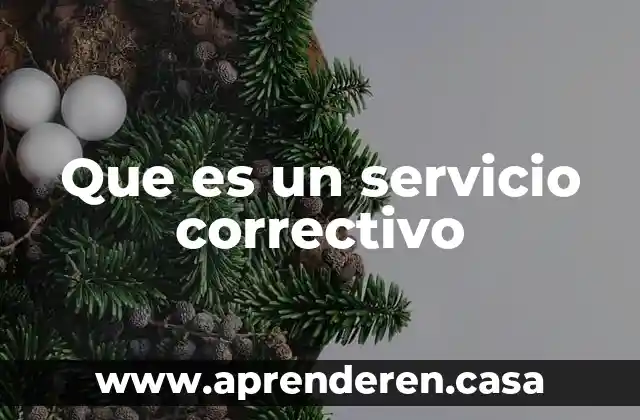 Que es acriat a.c 4 Que es un servicio correctivo