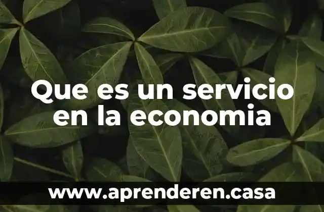 Que es economia simple y compleja 3 Que es un servicio en la economia