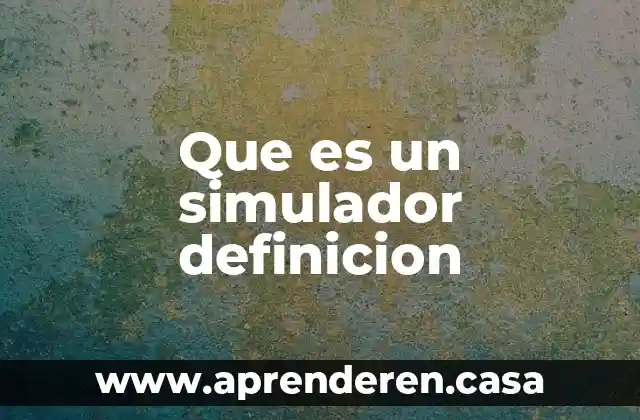 Que es un simulador definicion
