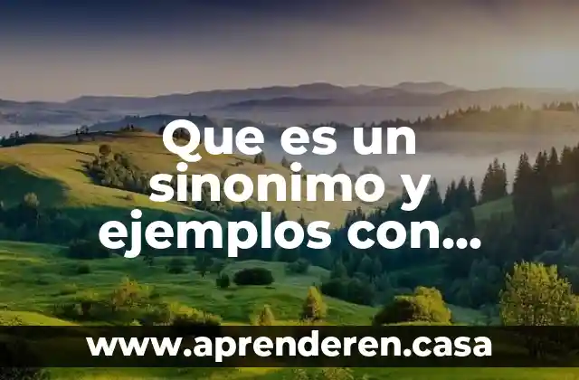 Que es un sinonimo y ejemplos con bideos