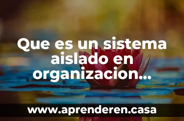 Que es un sistema aislado en organizacion industrial