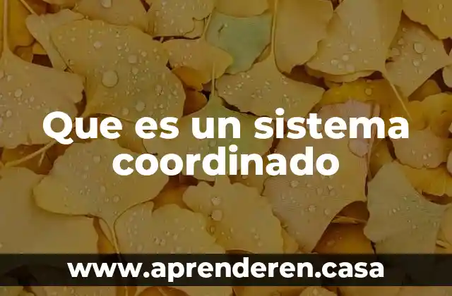 Que es un sistema coordinado