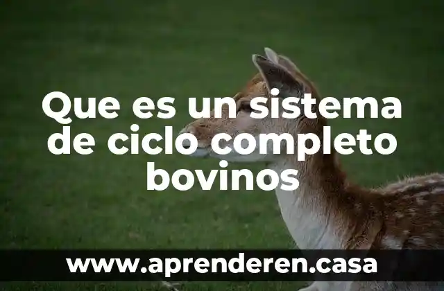 Que es un sistema de ciclo completo bovinos